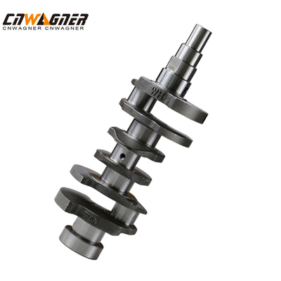 Cast Iron Forged Steel Cat Crankshaft 1222173G01 12221-73G01 F6A